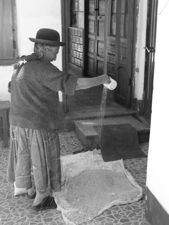 Mujer limpiando grano de quinua